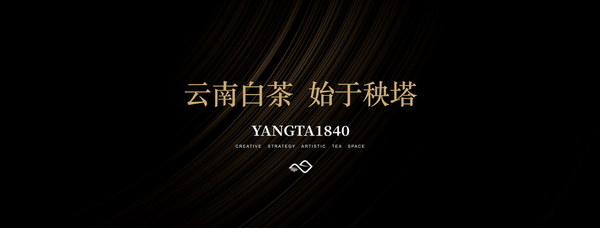 云南茶王|李大昌(创始人)