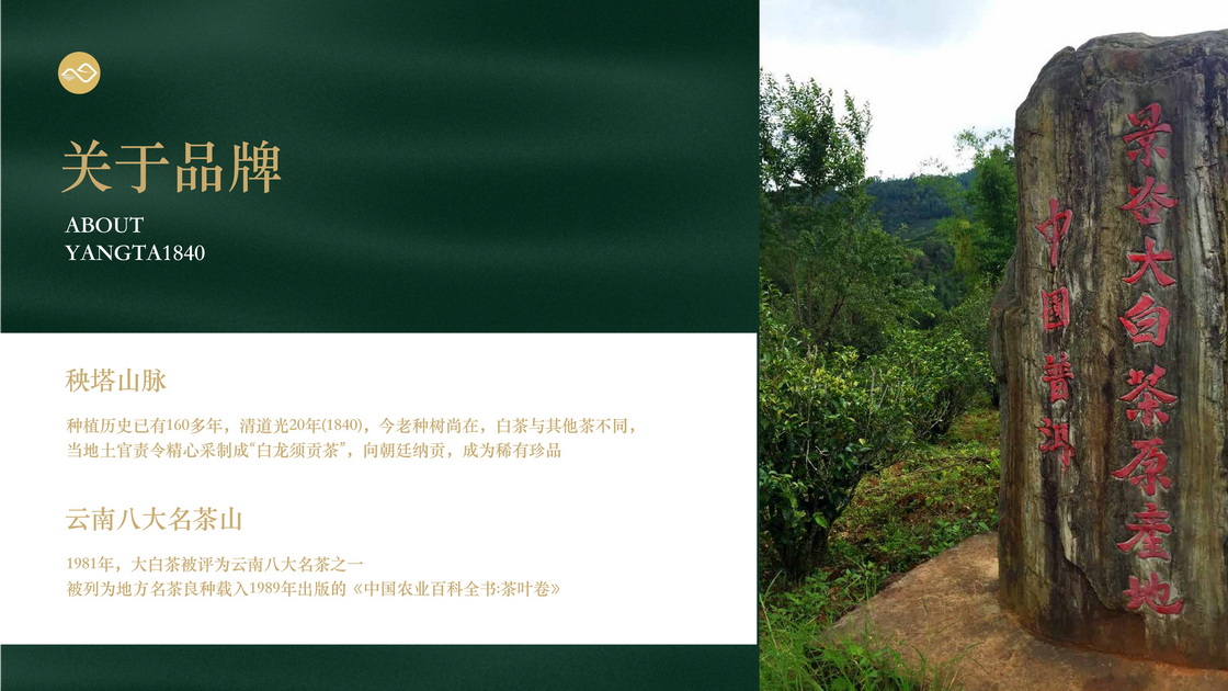 秧塔白茶