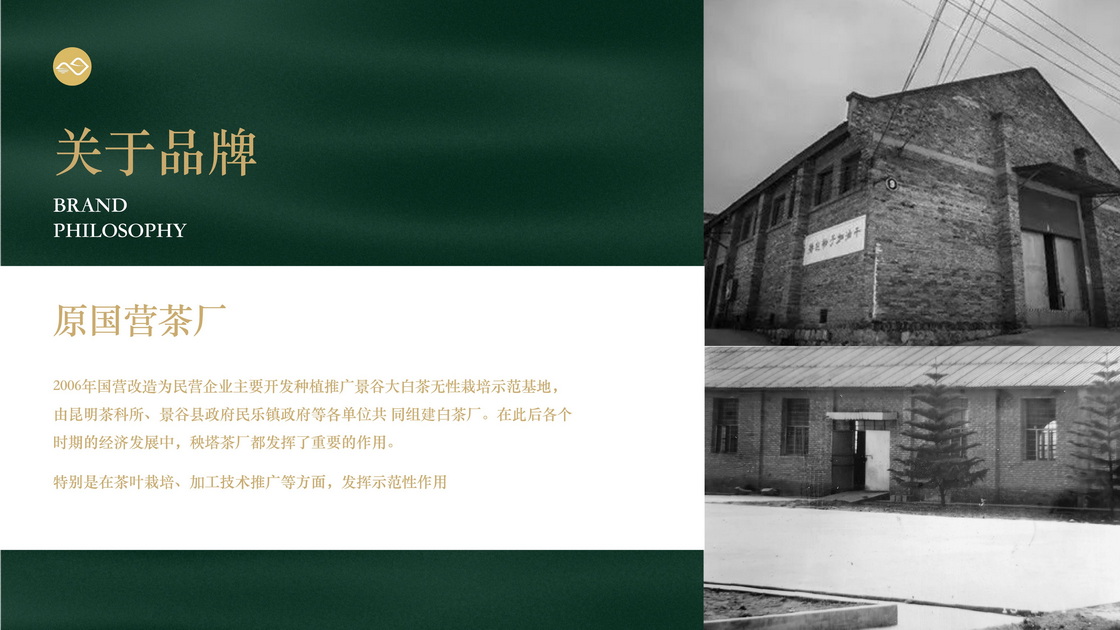 秧塔白茶